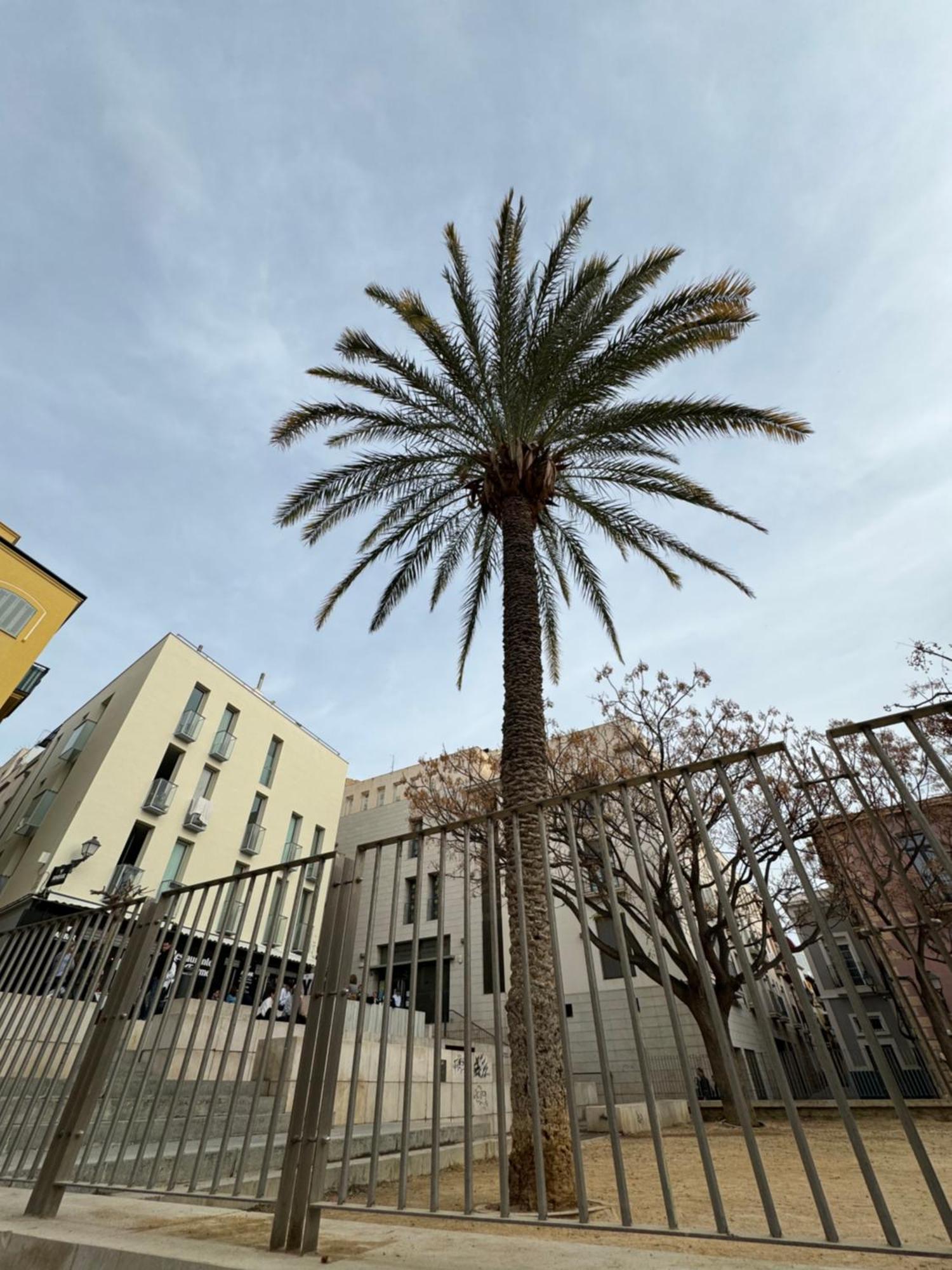 Nuevo Casco Antiguo, Playa Y Castillo Alicante Exterior foto